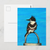 Belted Kingfisher schilderij Briefkaart (Voorkant / Achterkant)
