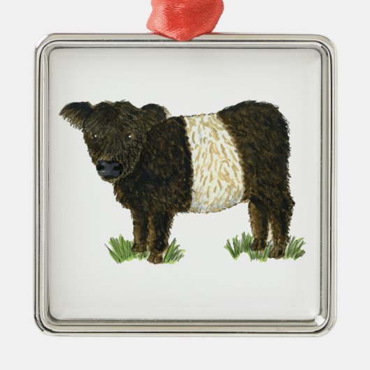 "Beltie" Belted Galloway Metalen Ornament (Voorkant)