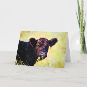 Beltie Koe Waterverf schilderen Belted Galloway Ar Kaart