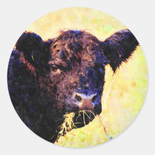 Beltie Koe Waterverf schilderen Belted Galloway Ar Ronde Sticker