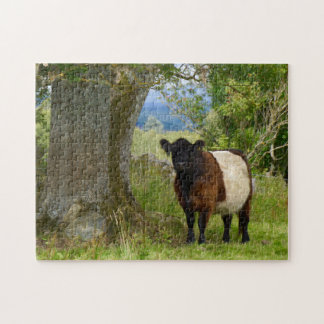 Beltie Puzzle Legpuzzel