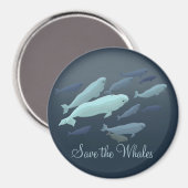 Beluga Fridge Magnet Custom Beluga Whale Magnet (Recto/Verso)