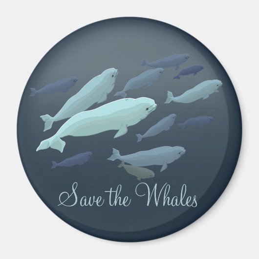 Beluga Fridge Magnet Custom Beluga Whale Magnet (Devant)