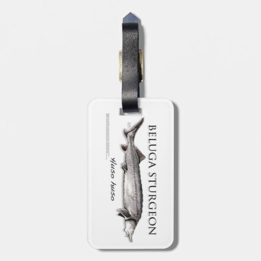 Beluga Sturgeon Bagagelabel (Achterkant verticaal)