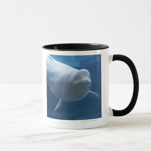 Beluga walvis (Delphinapterus leucas) Mok (Rechts)