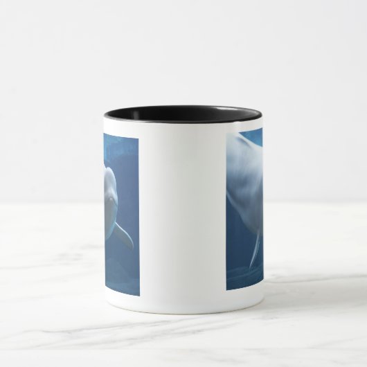 Beluga walvis (Delphinapterus leucas) Mok (Midden)