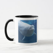 Beluga walvis (Delphinapterus leucas) Mok (Links)