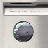 Beluga walvismagneet magneet (Insitu (Vaatwasser))