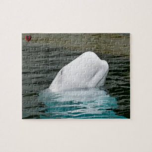 Beluga Whale Alaska Legpuzzel