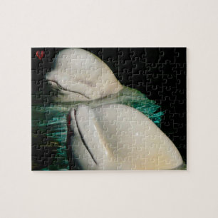 Beluga Whale Alaska Legpuzzel