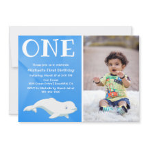 Beluga Whale Arctic Ocean Foto First Dag