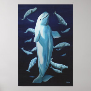 Beluga Whale Art print Marinelife Whale Painting