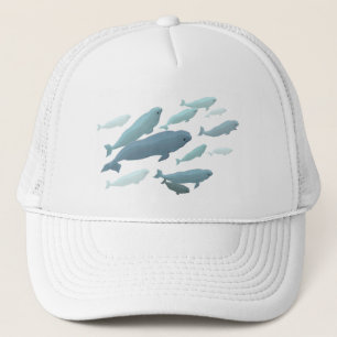 Beluga Whale Baseball Pet & Blue Beluga Gifts