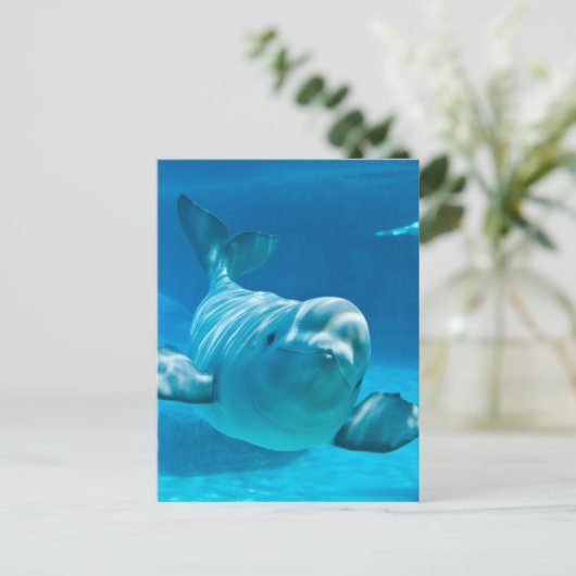 Beluga Whale Briefkaart (Staand voorkant)