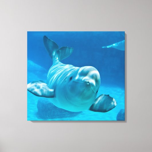 Beluga Whale Canvas Afdruk (Voorkant)