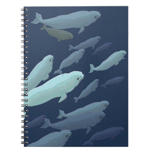Beluga Whale Carnet Whale Art Journal livre (Devant)