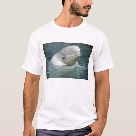 Beluga Whale, Delphinapterus leucas) T-shirt (Voorkant)