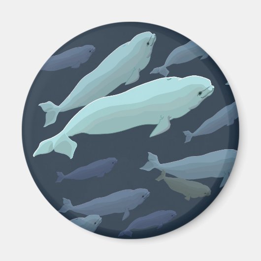 Beluga Whale Fridge Magnet Whale Art Cadfts (Devant)