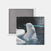 Beluga Whale Gifts Magneet (Voorkant / Achterkant)