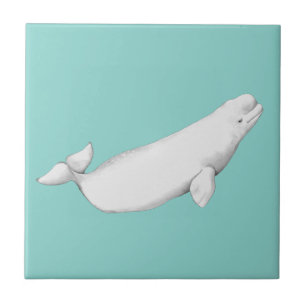 Beluga Whale Illustratie Whale Lover Gift Blue Tegeltje