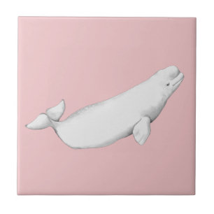 Beluga Whale Illustratie Whale Lover Gift Pink Tegeltje