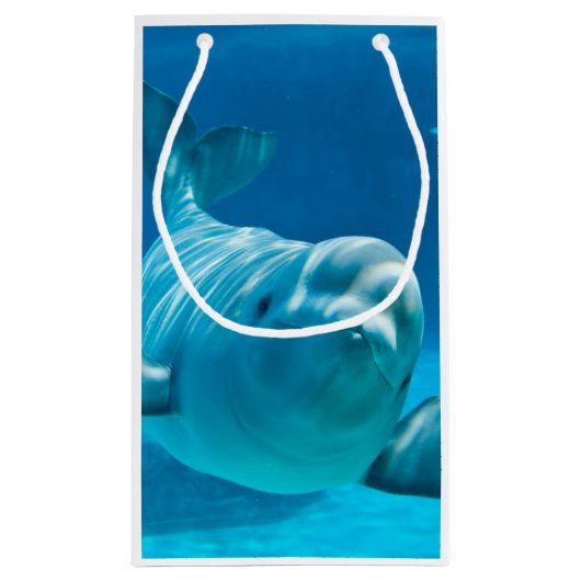 Beluga Whale Klein Cadeauzakje (Achterkant)