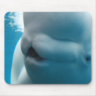 Beluga Whale Muismat