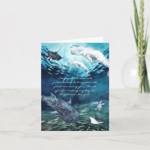 Beluga Whale Ocean   Foto bedankt