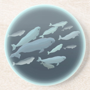 Beluga Whale Onderzetters Whale Art Drink Onderzet