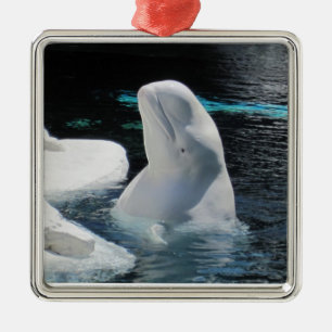 Beluga Whale Ornament