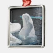 Beluga Whale Ornament (Links)