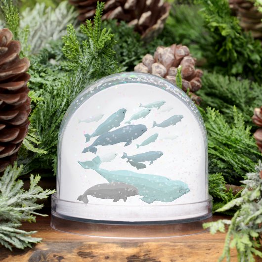 Beluga Whale Snow Globe Custom Whale Snow Globe (Hiver)