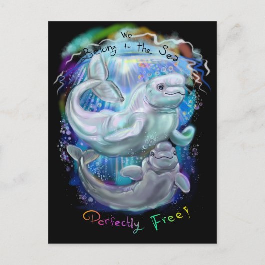 Beluga Whales Briefkaart (Voorkant)