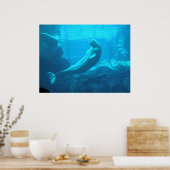 Beluga Whales II Poster (Keuken)