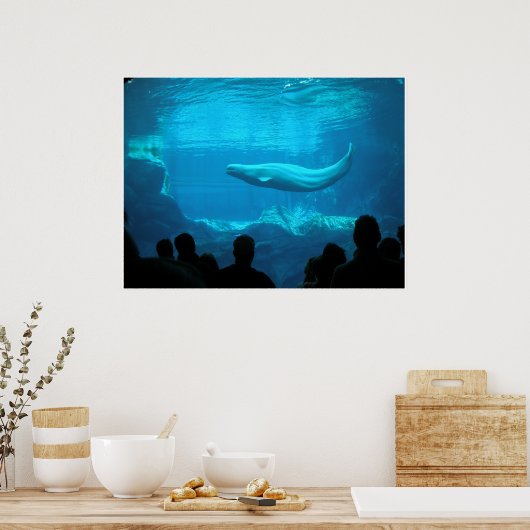Beluga Whales III Poster (Keuken)