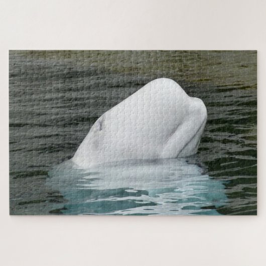 Beluga Whales Legpuzzel (Horizontaal)