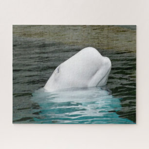 Beluga Whales Legpuzzel