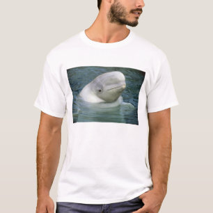 Belugawalvis, Delphinapterus leucas) T-shirt