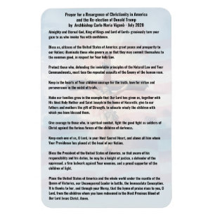 Bemiddel voor het President Trump en de Verenigde Magneet