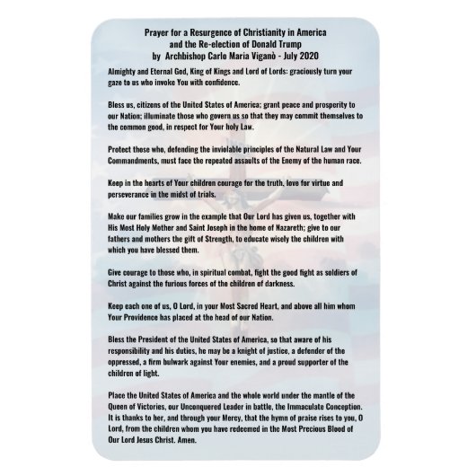 Bemiddel voor het President Trump en de Verenigde  Magneet (Verticaal)