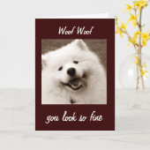 BEMONSTERDE ZEGGEN DAT JE NAAR 39** GRAM ZOEKT KAART (Gele Bloem)