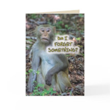 Ben ik iets vergeten?