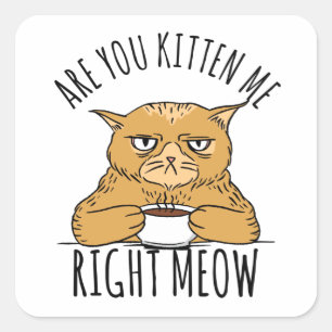Ben je kitten me net miauw woordspeling vierkante sticker