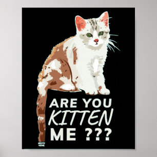 "BEN JE ME BEKEND" grappige kat Poster