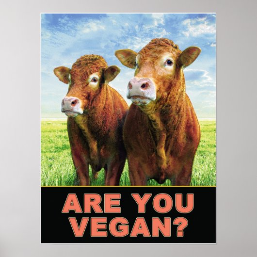 Ben je VEGAN? Poster (Voorkant)