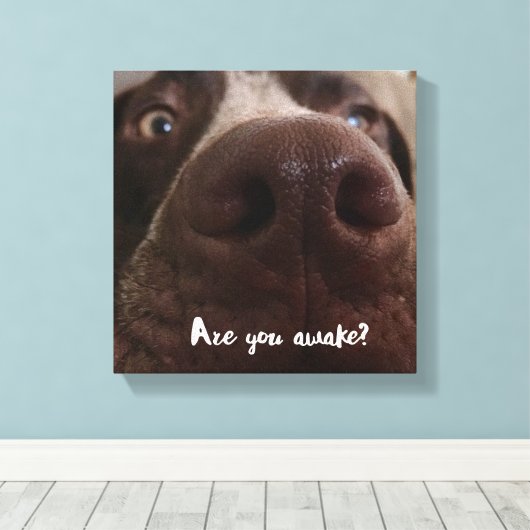 Ben je wakker? canvas afdruk (Insitu (Houten vloer))