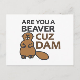 Ben jij een Beaver Cuz Dam? Briefkaart