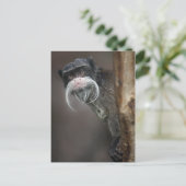 Ben jij mijn Barber? Briefkaart (Staand voorkant)