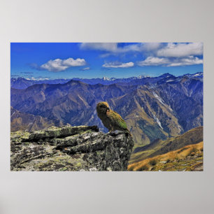 Ben Lomond Kea Poster
