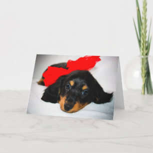 Ben van de mijn-Tekkel de kaart puppyValentijnsdag